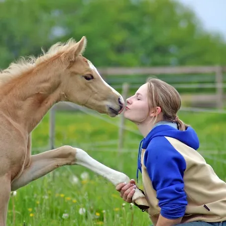 Riedwiesen Appartement *